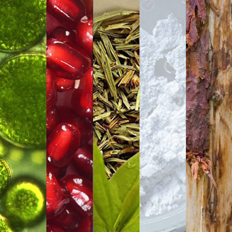 Unlock The Power of the Five: All-Natural Skincare Ingredients and Their Benefits!