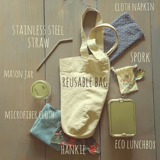 How to Begin Living a Sustainable Lifestyle